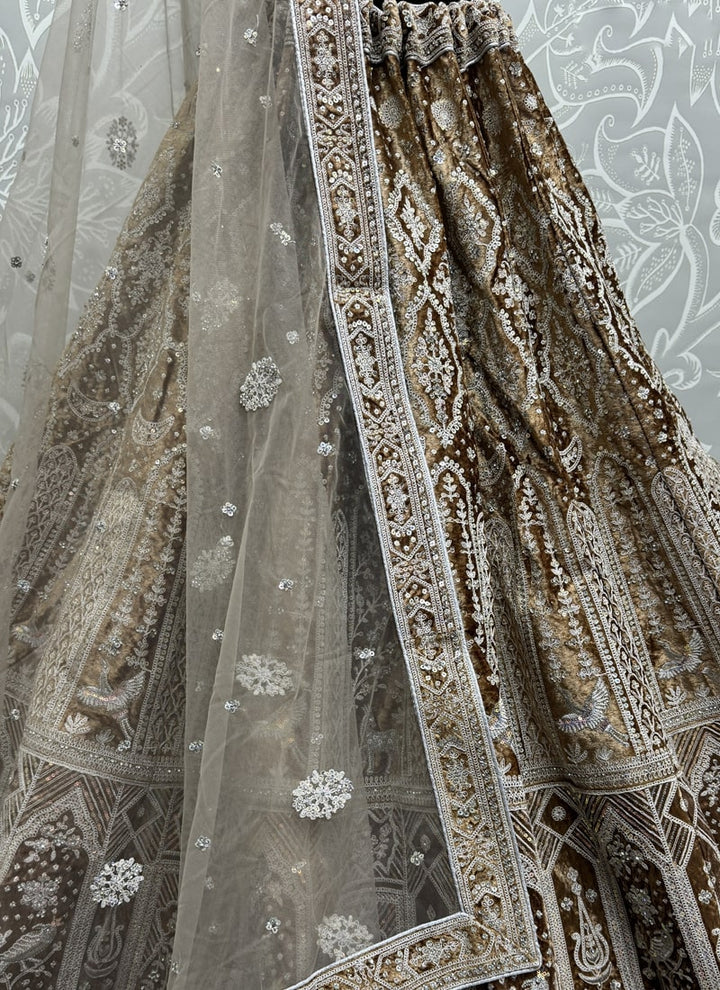 Lassya Fashion Beige Velvet Wedding Lehenga with Soft Net Dupatta