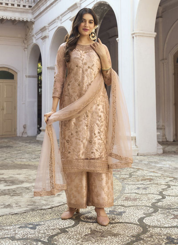 Beige Embroidered Net Pakistani Style Festive Wear Salwar Suit