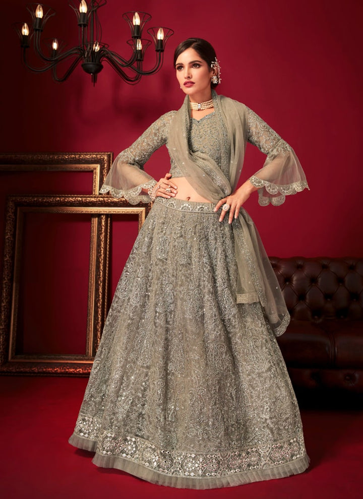 Lassya Fashion Grey Exquisite Net Lehenga Choli Set with Intricate Embroidery and Stone Work