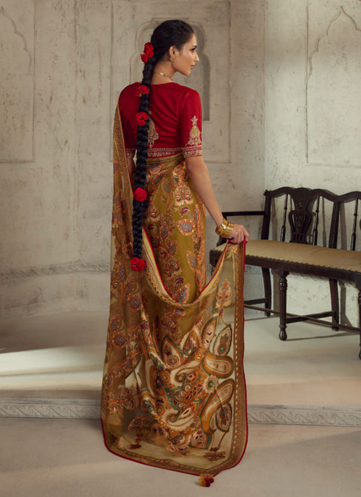 lassya fashion Khaki Brown Printed Brasso Organza Saree with Exquisite Embroidered Blouse